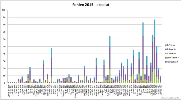 fohlen-2015-absolut