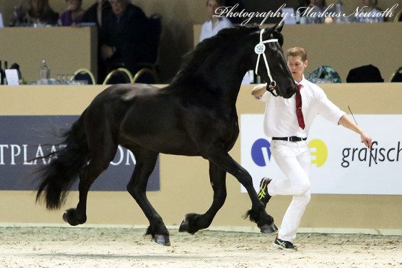 img_6412-199-rein-van-hilberati