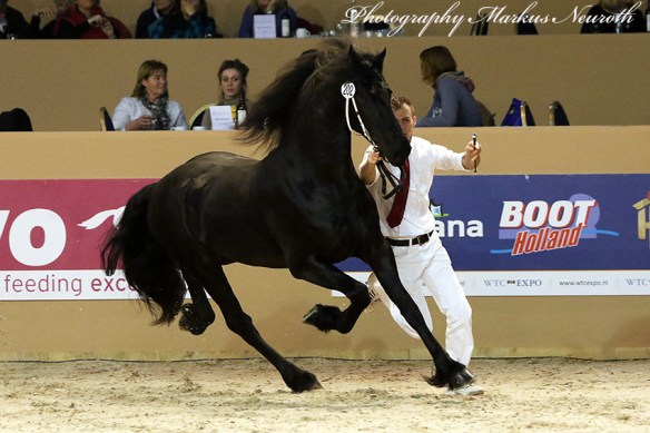 img_6496-202-sander-van-t-sonnis