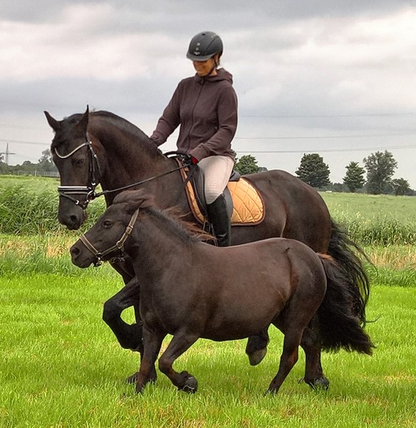 Spaß im Gelände 2016
