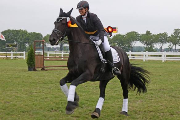 Stadtmeister Emden 2015