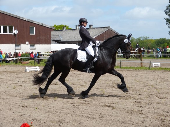 Theuntje Turnier 2015