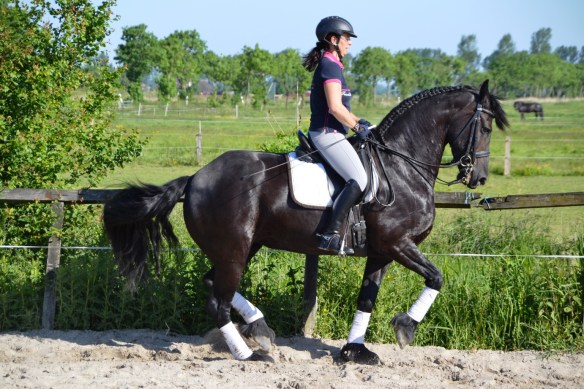 Training Theuntje 2014-1