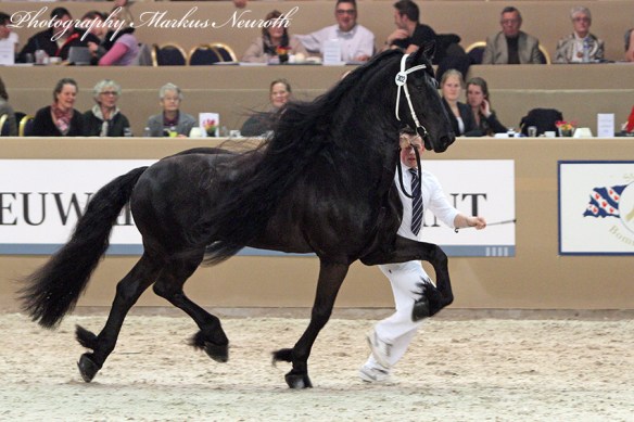 img_1062-tjardaa-483