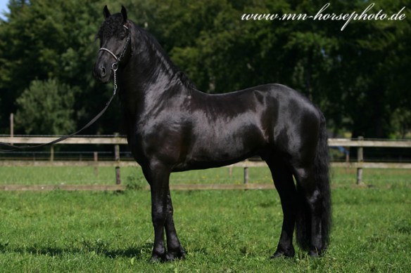 img_5720-loadewyk431