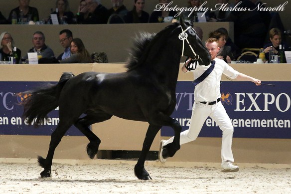 img_7498-240-timo-van-de-zunne