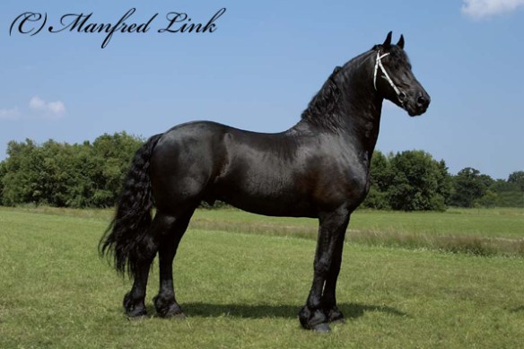 crw_0059-ielke382-ml