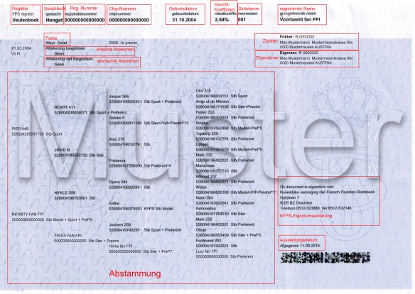 Papier Muster mit Übersetzung