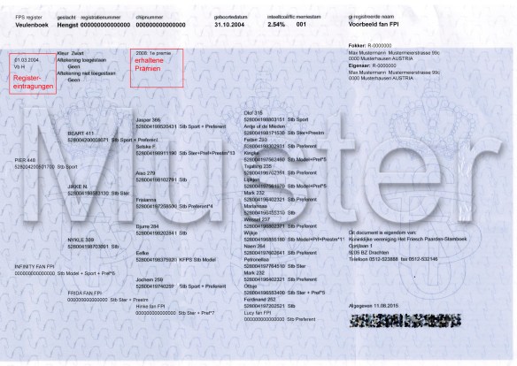 Papier Muster Prämien