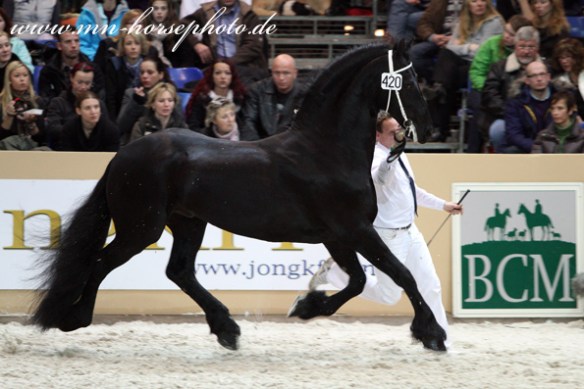 img_0038-doaitsen420